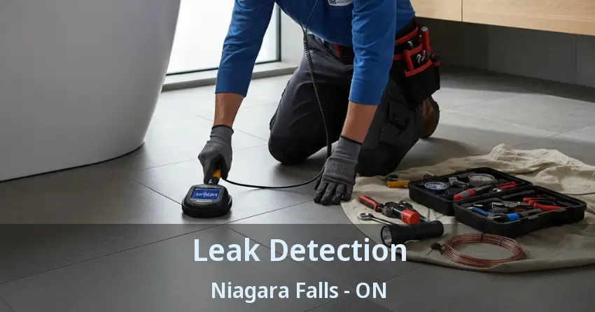 Leak Detection Niagara Falls - ON