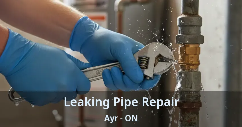 Leaking Pipe Repair Ayr - ON