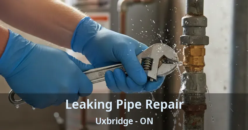 Leaking Pipe Repair Uxbridge - ON