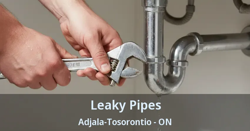 Leaky Pipes Adjala-Tosorontio - ON