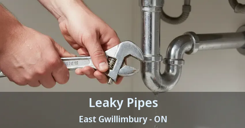 Leaky Pipes East Gwillimbury - ON