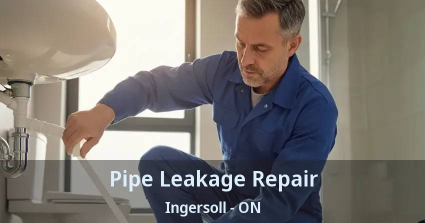 Pipe Leakage Repair Ingersoll - ON