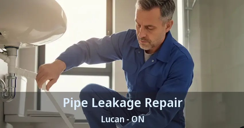 Pipe Leakage Repair Lucan - ON