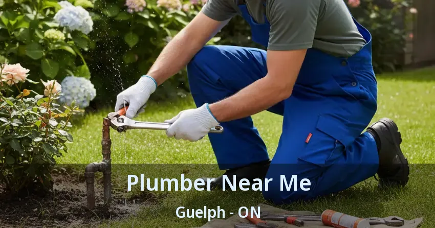 Plumber Near Me Guelph - ON
