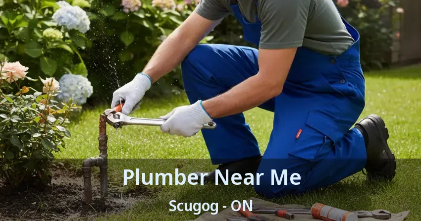 Plumber Near Me Scugog - ON