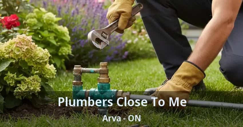 Plumbers Close To Me Arva - ON
