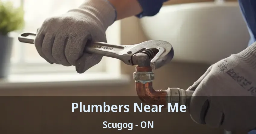 Plumbers Near Me Scugog - ON