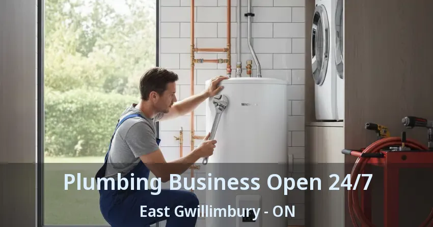 Plumbing Business Open 24/7 East Gwillimbury - ON