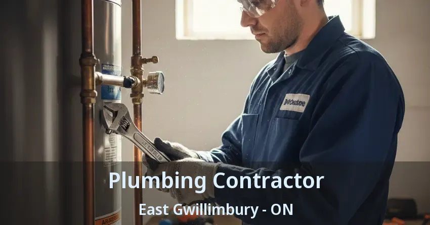 Plumbing Contractor East Gwillimbury - ON