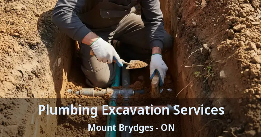 Plumbing Excavation Services Mount Brydges - ON
