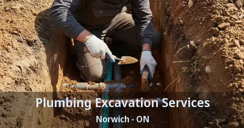 Plumbing Excavation Services Norwich - ON