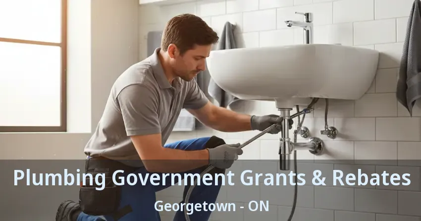 Plumbing Government Grants & Rebates Georgetown - ON