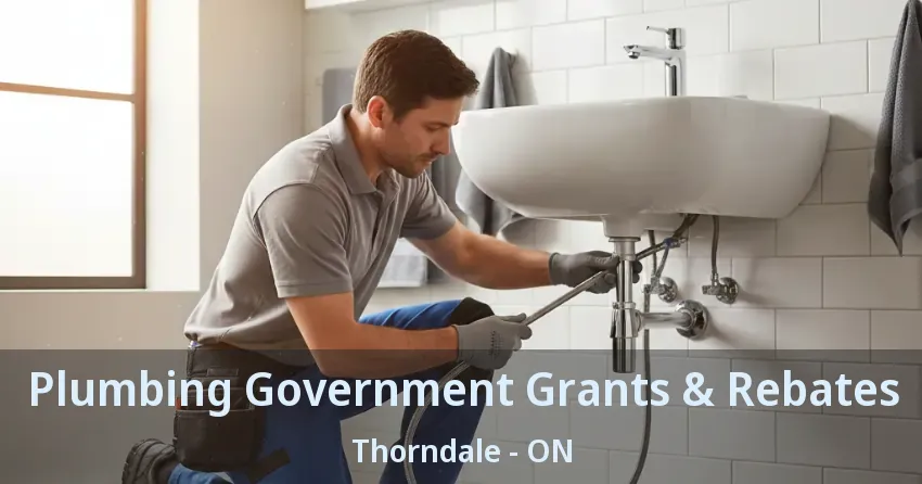 Plumbing Government Grants & Rebates Thorndale - ON