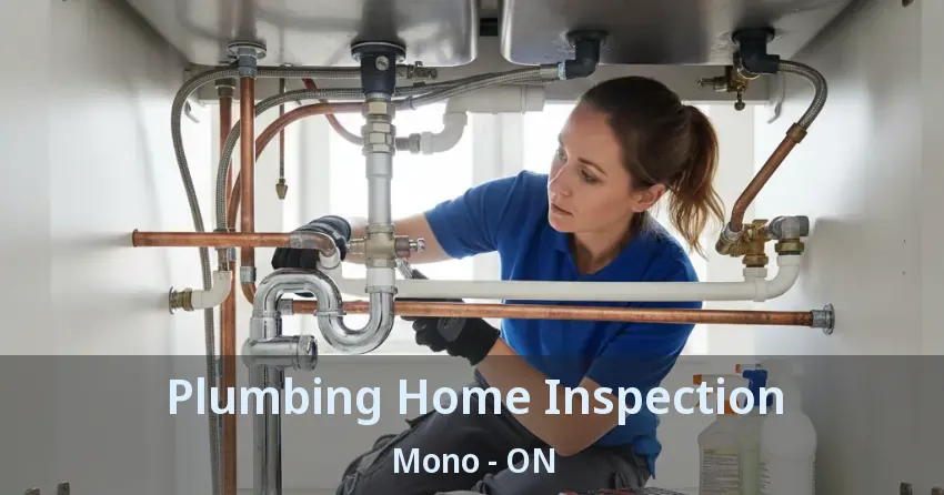 Plumbing Home Inspection Mono - ON