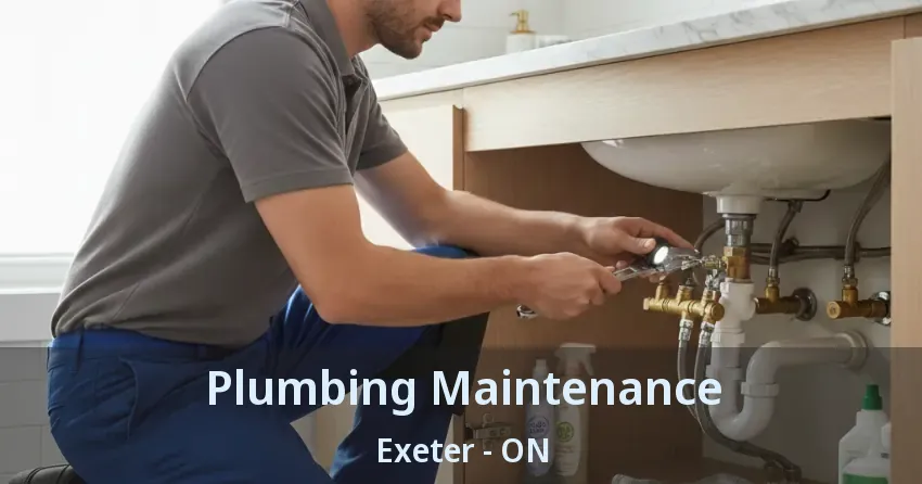 Plumbing Maintenance Exeter - ON