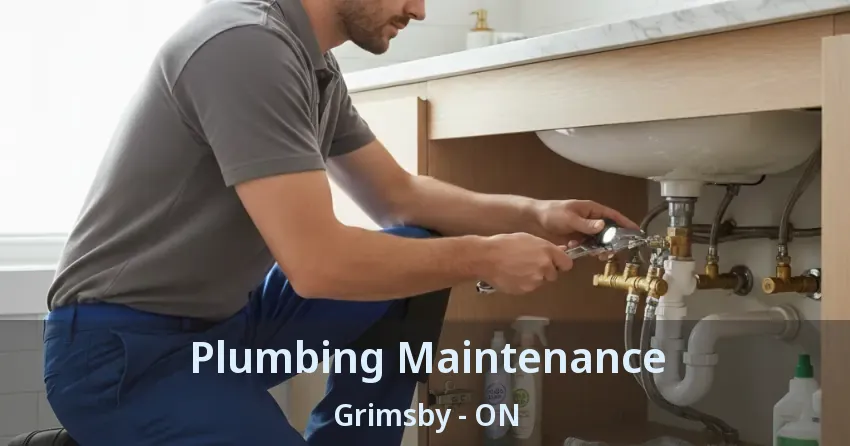 Plumbing Maintenance Grimsby - ON