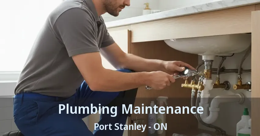 Plumbing Maintenance Port Stanley - ON