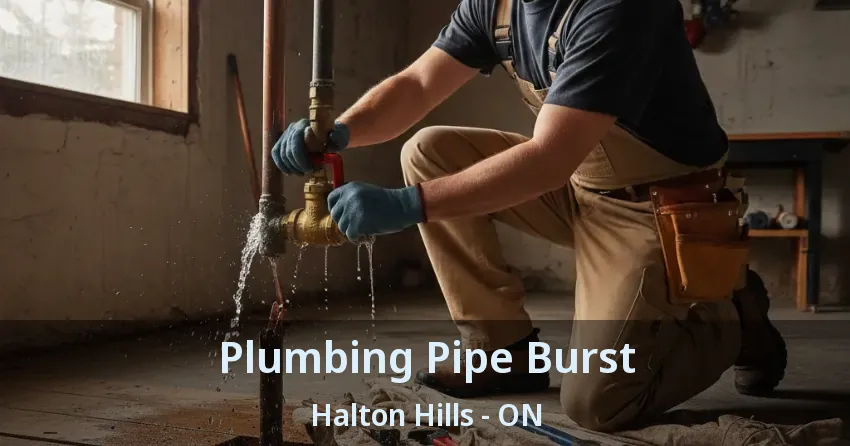 Plumbing Pipe Burst Halton Hills - ON