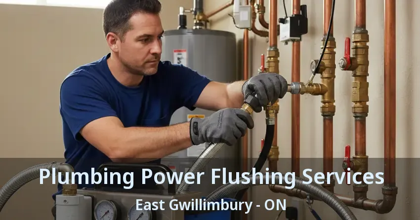 Plumbing Power Flushing Services East Gwillimbury - ON