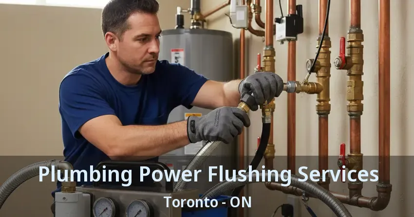 Plumbing Power Flushing Services Toronto - ON