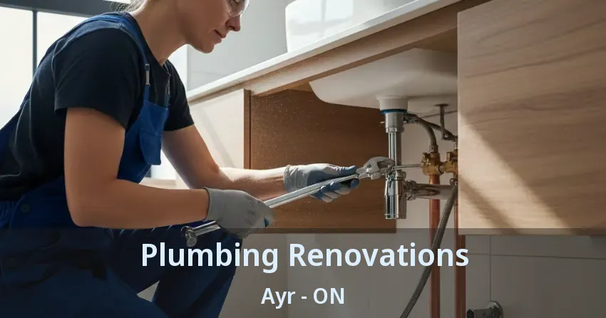 Plumbing Renovations Ayr - ON