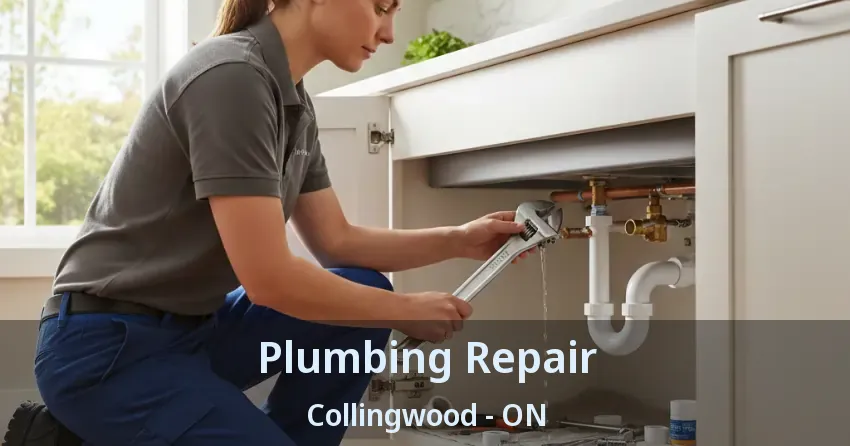 Plumbing Repair Collingwood - ON