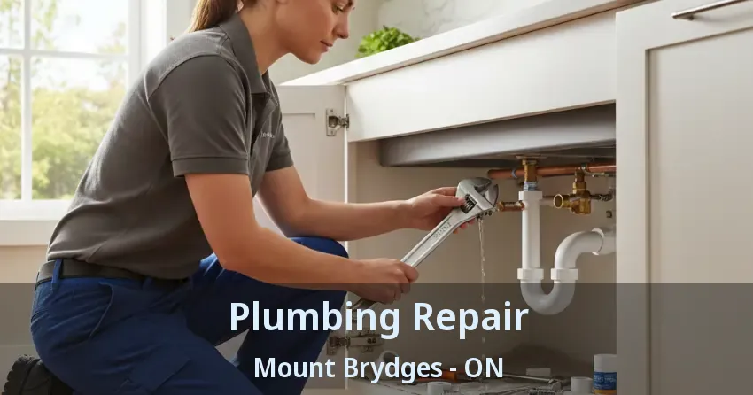 Plumbing Repair Mount Brydges - ON