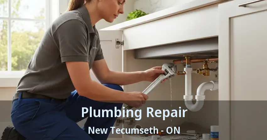 Plumbing Repair New Tecumseth - ON