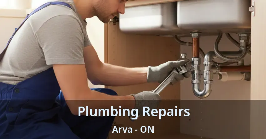 Plumbing Repairs Arva - ON