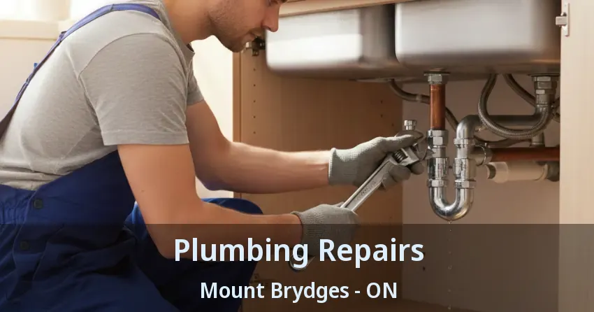 Plumbing Repairs Mount Brydges - ON