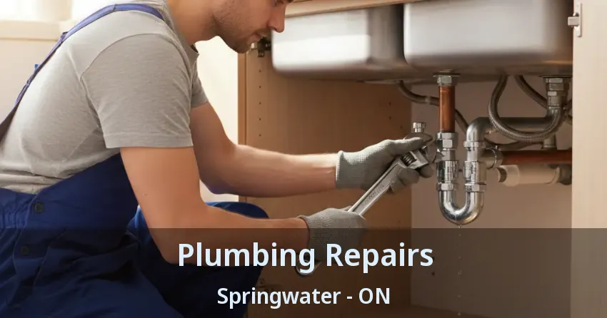 Plumbing Repairs Springwater - ON
