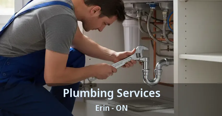 Plumbing Services Erin - ON