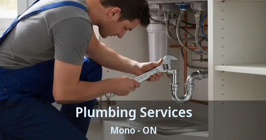 Plumbing Services Mono - ON