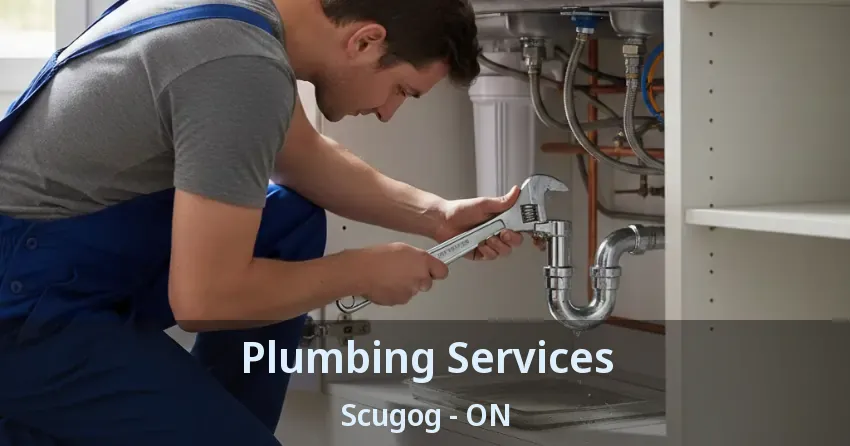Plumbing Services Scugog - ON
