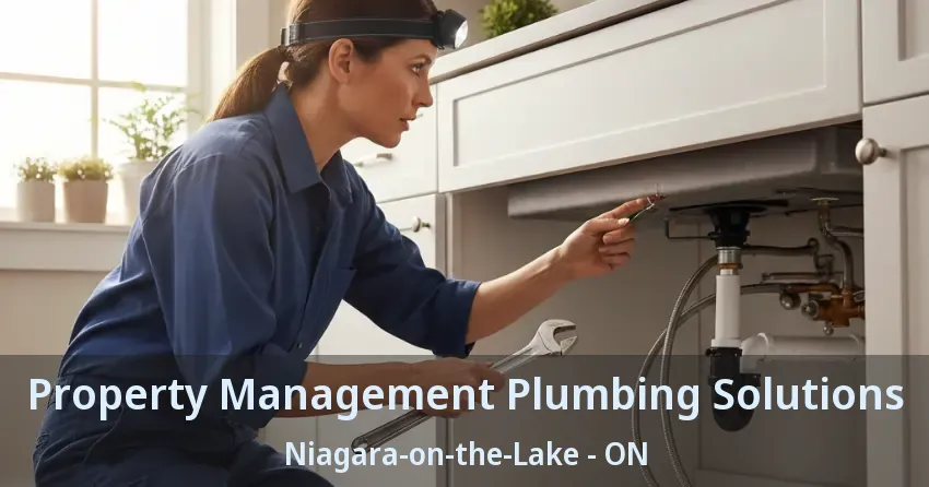 Property Management Plumbing Solutions Niagara-on-the-Lake - ON