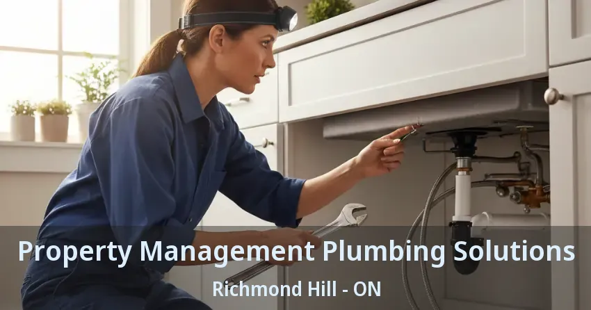 Property Management Plumbing Solutions Richmond Hill - ON