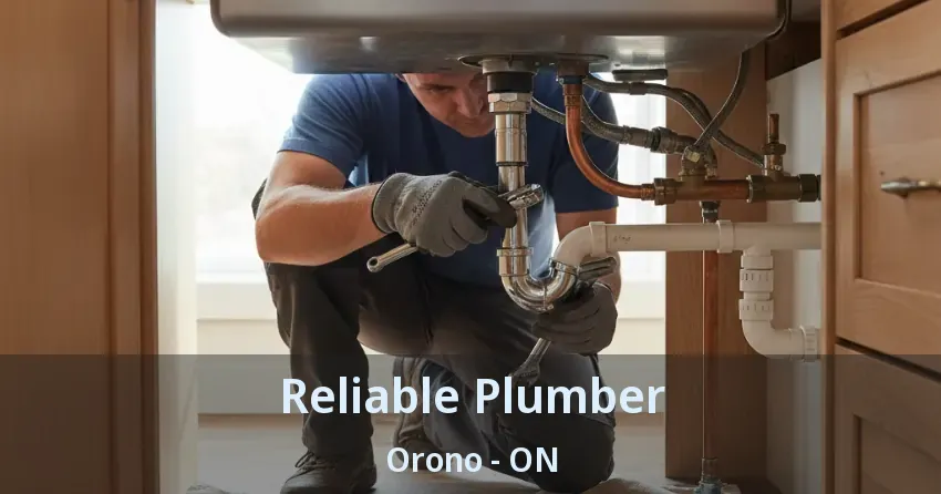 Reliable Plumber Orono - ON