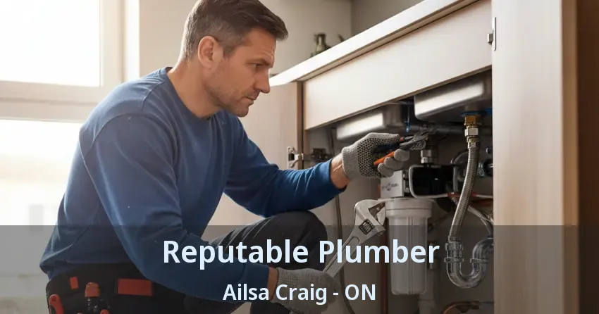 Reputable Plumber Ailsa Craig - ON