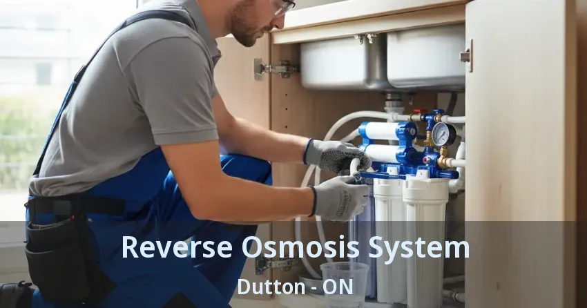 Reverse Osmosis System Dutton - ON