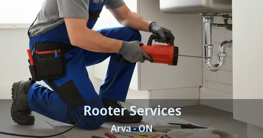 Rooter Services Arva - ON