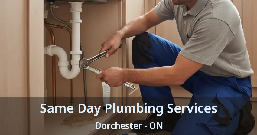 Same Day Plumbing Services Dorchester - ON