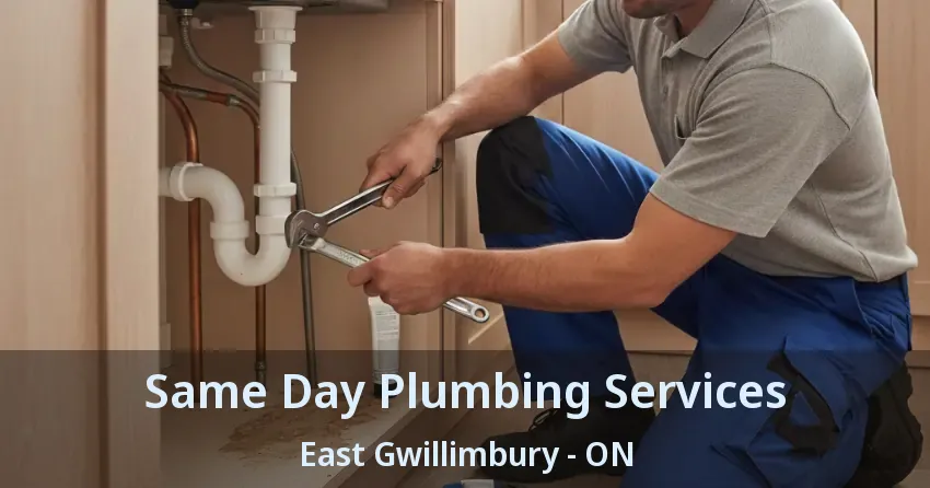 Same Day Plumbing Services East Gwillimbury - ON