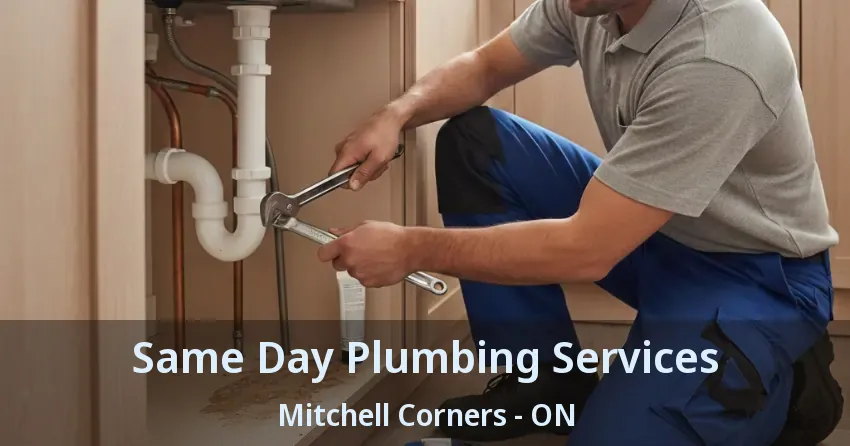 Same Day Plumbing Services Mitchell Corners - ON