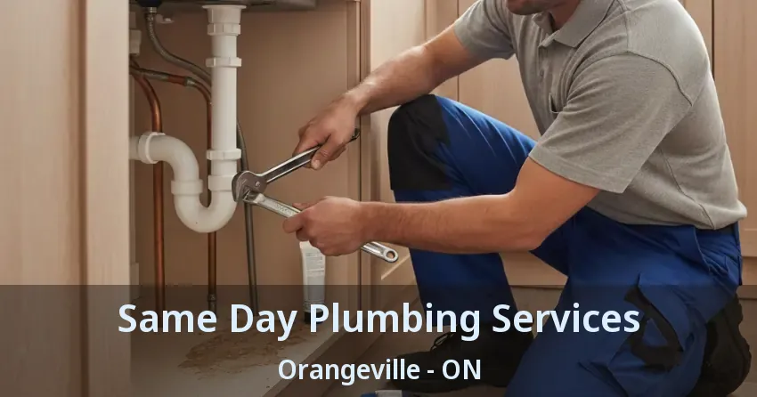 Same Day Plumbing Services Orangeville - ON