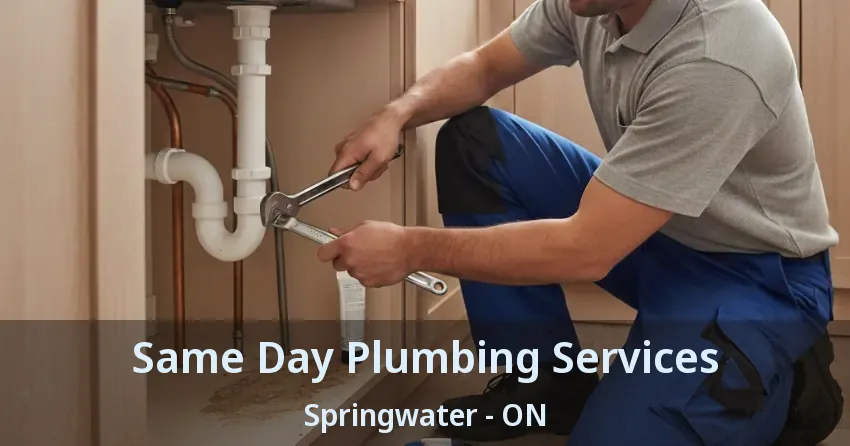 Same Day Plumbing Services Springwater - ON