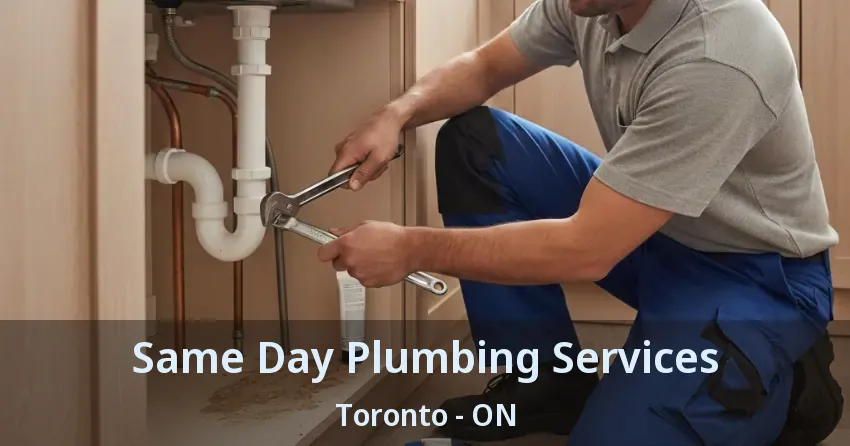 Same Day Plumbing Services Toronto - ON