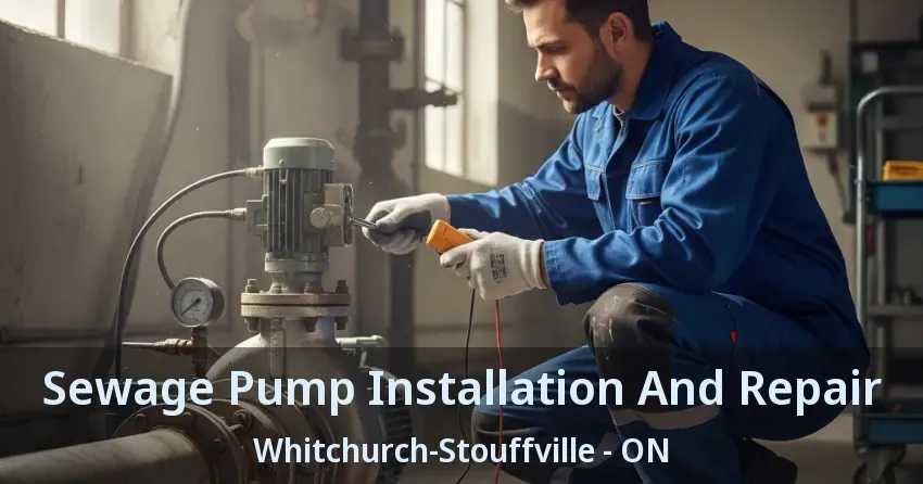 Sewage Pump Installation And Repair Whitchurch-Stouffville - ON
