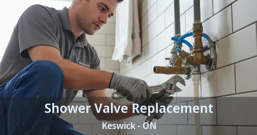 Shower Valve Replacement Keswick - ON