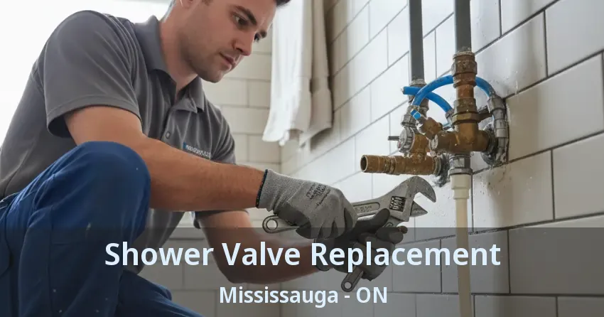 Shower Valve Replacement Mississauga - ON