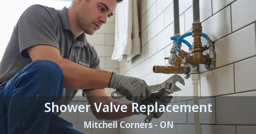 Shower Valve Replacement Mitchell Corners - ON